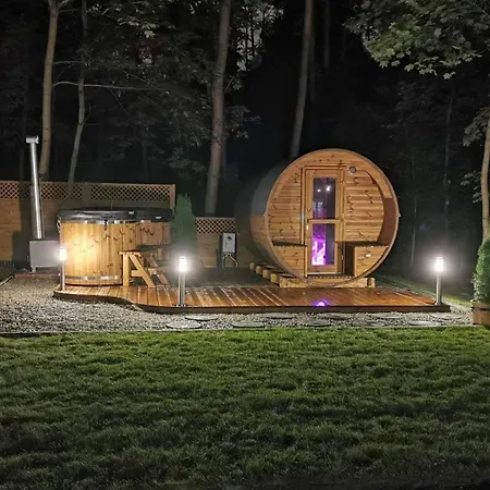 Gosciniec Lizawka ポズナン