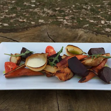 Gosciniec Lizawka 3*