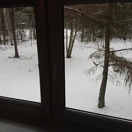 Gosciniec Lizawka 3*