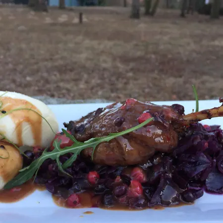 Gosciniec Lizawka 3* פוזנן