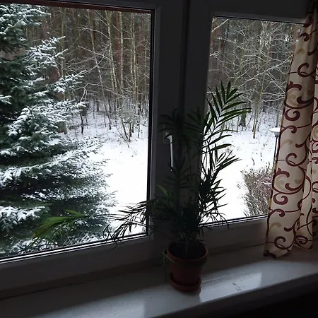 Gosciniec Lizawka 3*