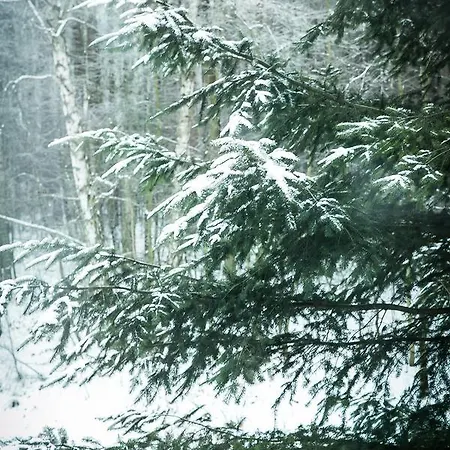 Inn Gosciniec Lizawka 3*