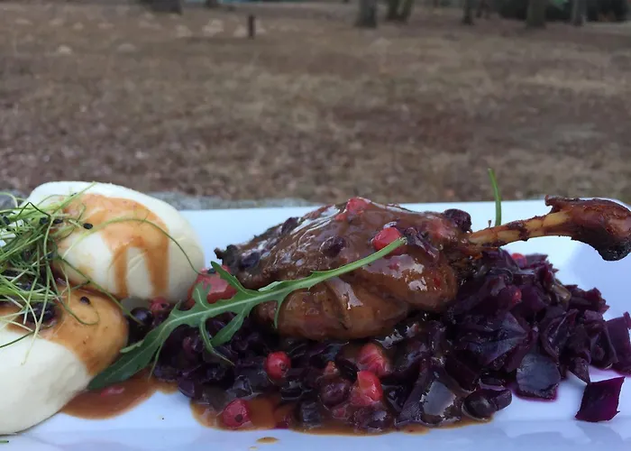 Gosciniec Lizawka 3* Познань