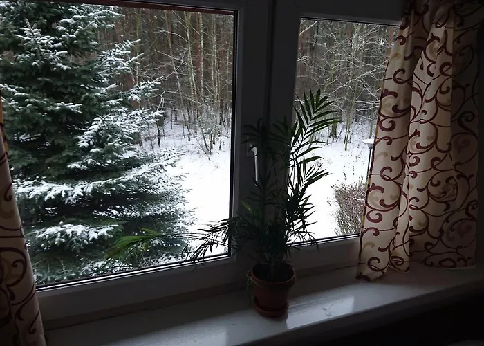 Gosciniec Lizawka 3*