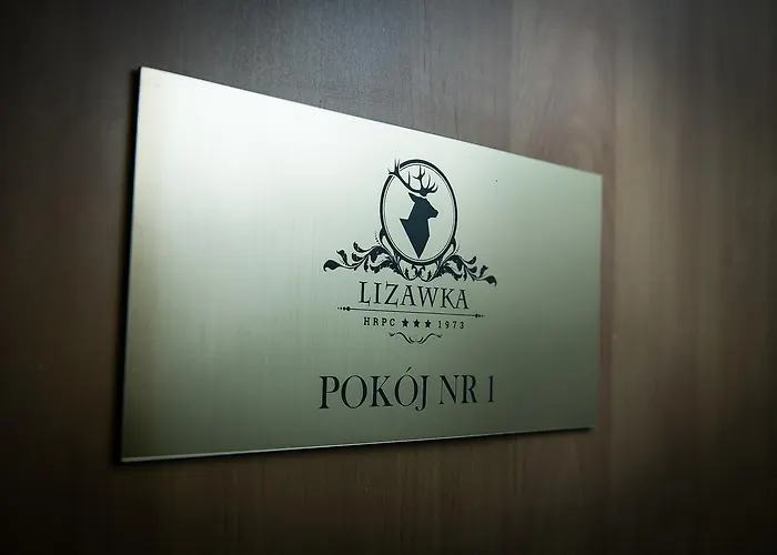 Gosciniec Lizawka Inn 3*